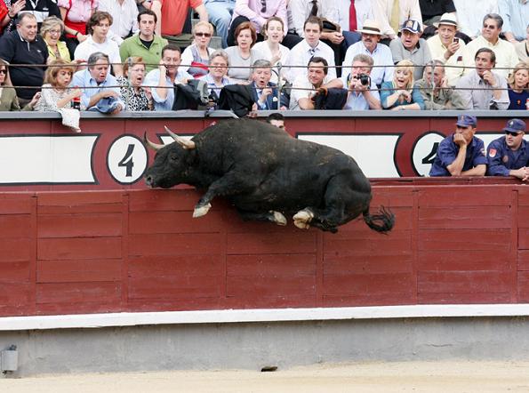 toro volador